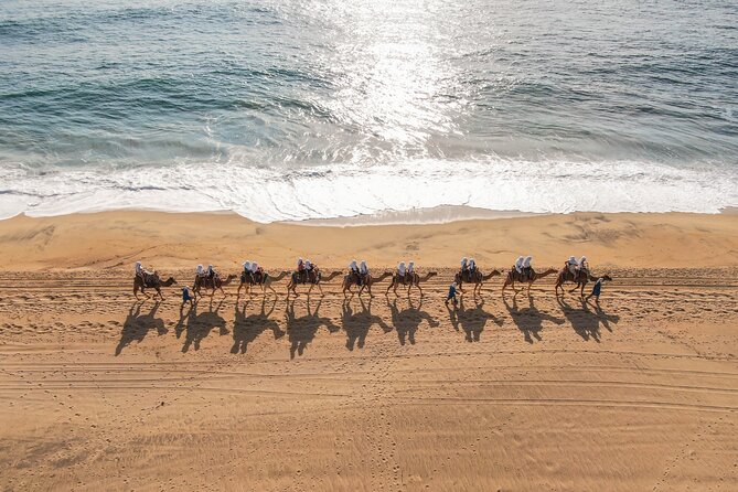 Camel Ride and Extreme ATV Combo Tour in Cabo San Lucas - Tour Overview