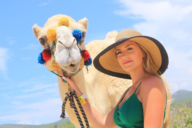 Camel Ride and Extreme ATV Combo Tour in Cabo San Lucas - Cancellation Policy