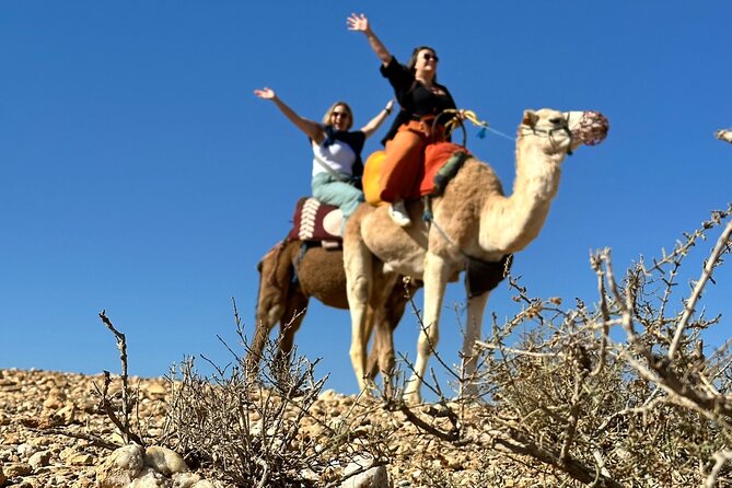 Camel Ride and Magical Dinner in Agafay Desert - Additional Information and Policies