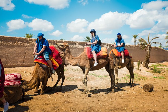 Camel Ride and Quad Biking With Fresh Mint Tea - What to Expect
