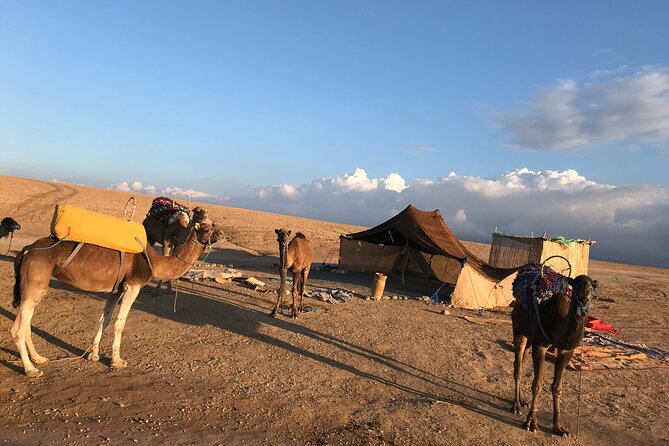 Camel Ride at Agafay Desert - Group Size and Cancellation Policy