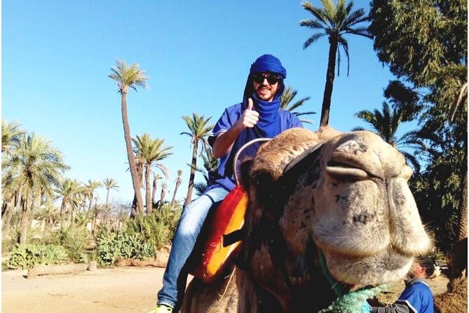 Camel Ride at Sunset From the Palm Grove - The Sum Up