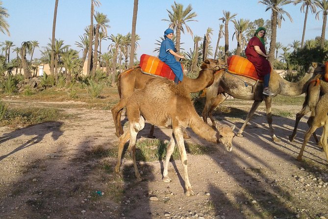Camel Ride at Sunset in Marrakech Palm Grove - Capturing Memorable Moments With Camels