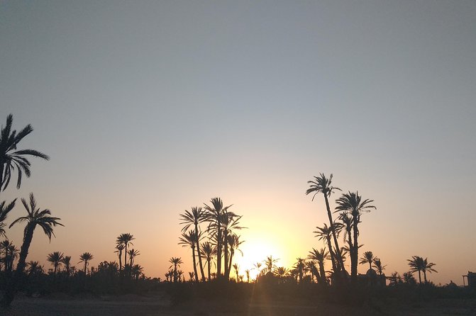 Camel Ride at Sunset in the Palm Grove of Marrakech - Meeting Point