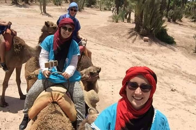 Camel Ride at the Palm Groves in Marrakech - Palm Groves 100,000 Palm Trees