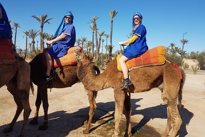 Camel Ride at the Palm Groves in Marrakech - Enjoying Mint Tea With Locals