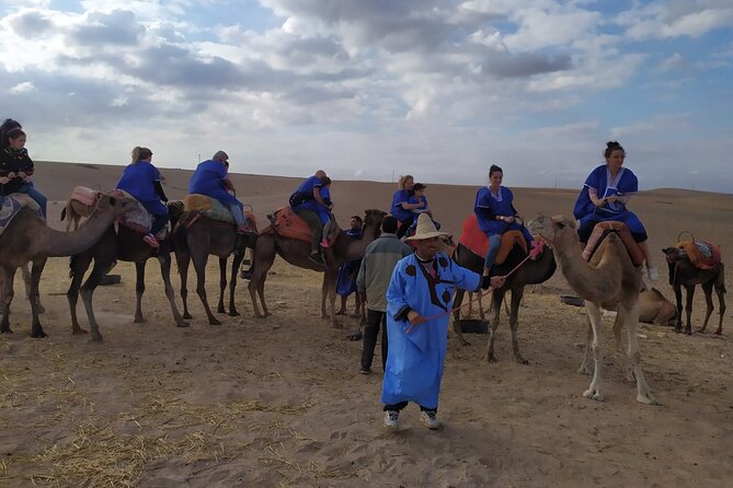 Camel Ride at the Palm Groves in Marrakech - Morning or Afternoon Ride Options