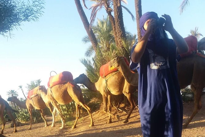 Camel Ride at the Palm Groves in Marrakech - Traveler Photos of the Experience