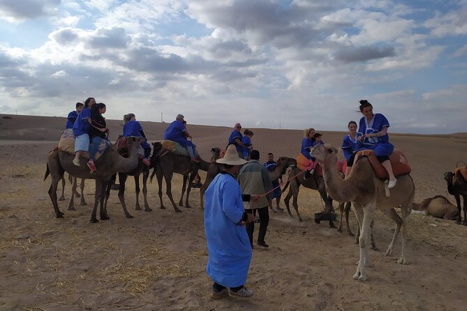 Camel Ride at the Palm Groves in Marrakech - Price and Cancellation Policy