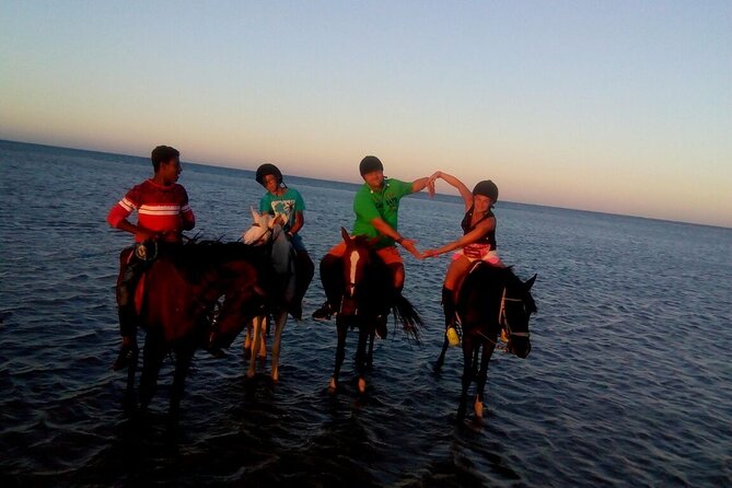 Camel Ride & Bedouin Dinner Quad Safari in Sharm El Sheikh - Meeting and Pickup