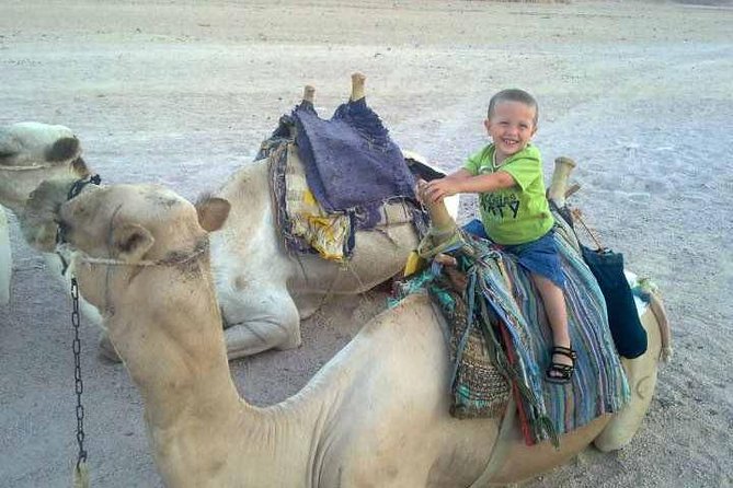 Camel Ride & Bedouin Dinner Quad Safari in Sharm El Sheikh - Expectations and Requirements