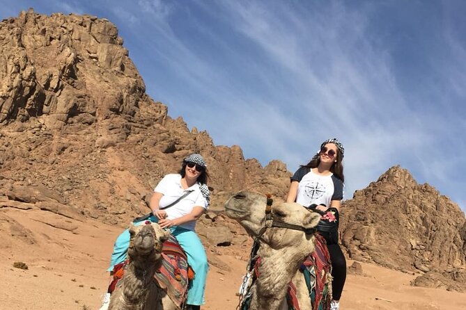 Camel Ride & Bedouin Dinner Quad Safari in Sharm El Sheikh - Additional Information