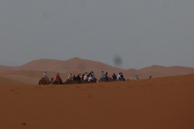 Camel Ride - Traveler Information and Requirements