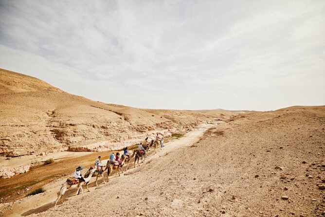 Camel Ride Day Trip in Desert Agafay and Atlas Mountains - Good To Know