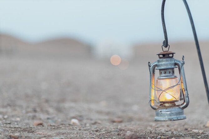 Camel Ride Day Trip in Desert Agafay and Atlas Mountains - Safety and Precautions