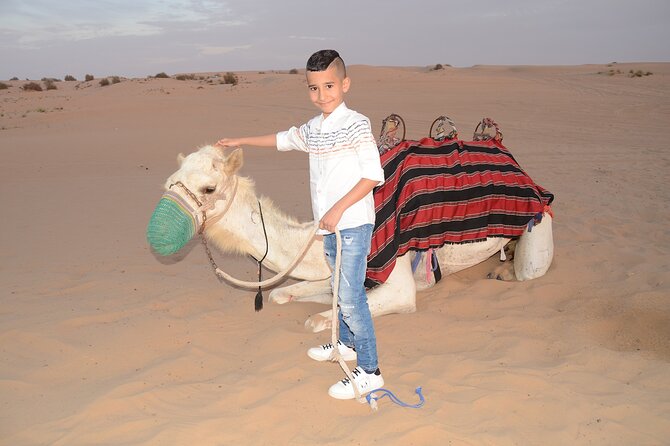 Camel Ride, Dune Bashing & Live Shows With BBQ Dinner in Dubai - Live Shows to Entertain and Amaze