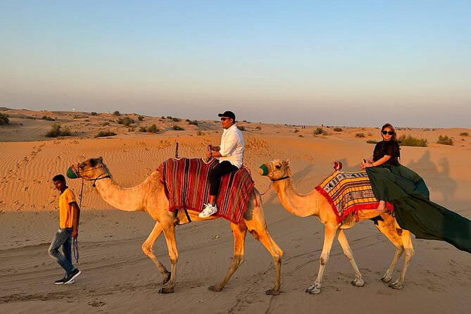 Camel Ride, Dune Bashing & Live Shows With BBQ Dinner in Dubai - Pricing, Copyright, and Terms