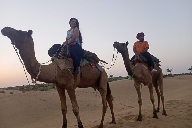 Camel Ride During Sunrise With Breakfast - Traveler Reviews