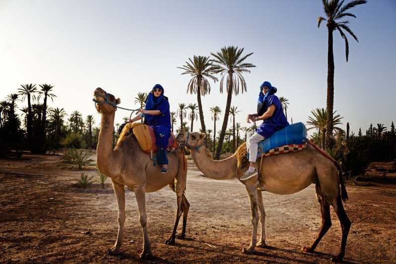 Camel Ride During Sunset at Palmeraie in Marrakech - A short ride into the Palmeraie