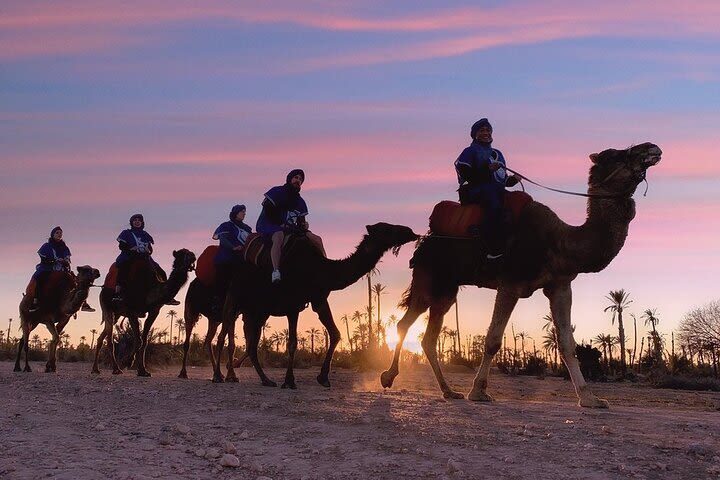 Camel Ride During Sunset at Palmeraie in Marrakech - Getting dressed for the ride