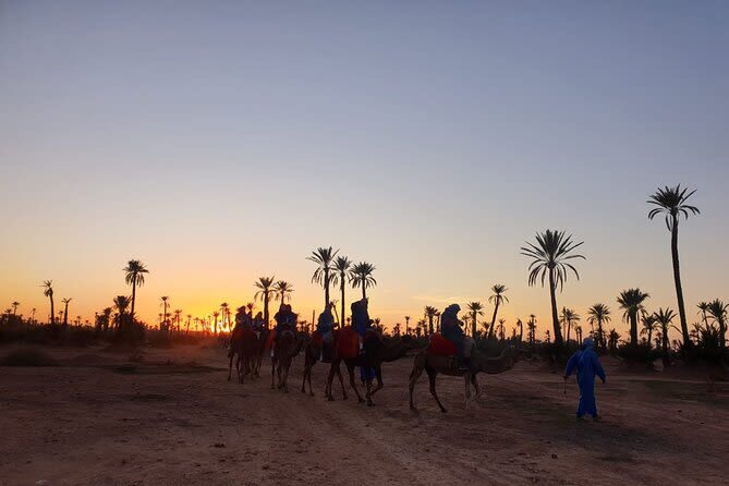 Camel Ride During Sunset at Palmeraie in Marrakech - What the one-hour camel ride feels like