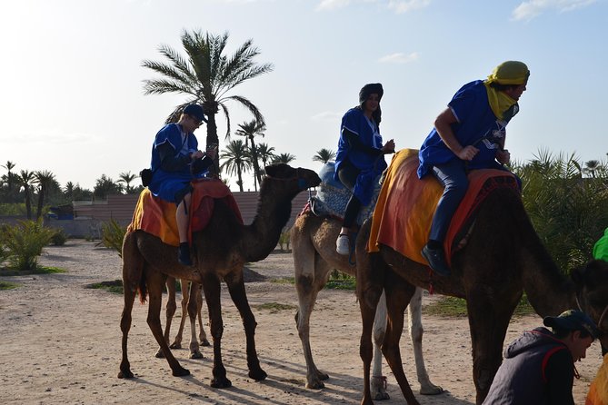 Camel Ride Experience Around Marrakech - Good To Know