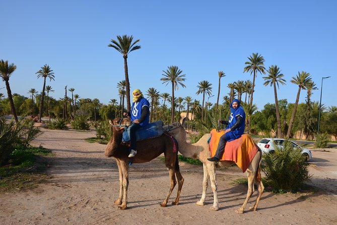 Camel Ride Experience Around Marrakech - Traditional Village Trot
