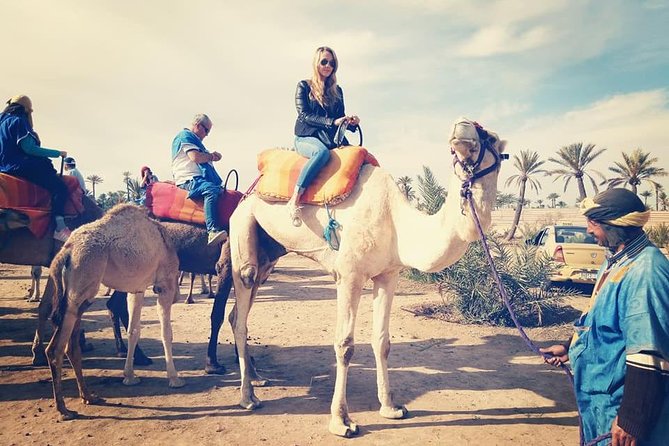 Camel Ride Experience Around Marrakech - Tea Break Insight