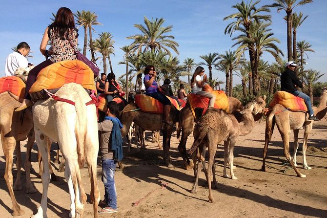 Camel Ride Experience Around Marrakech - Pricing and Cancellation Policy