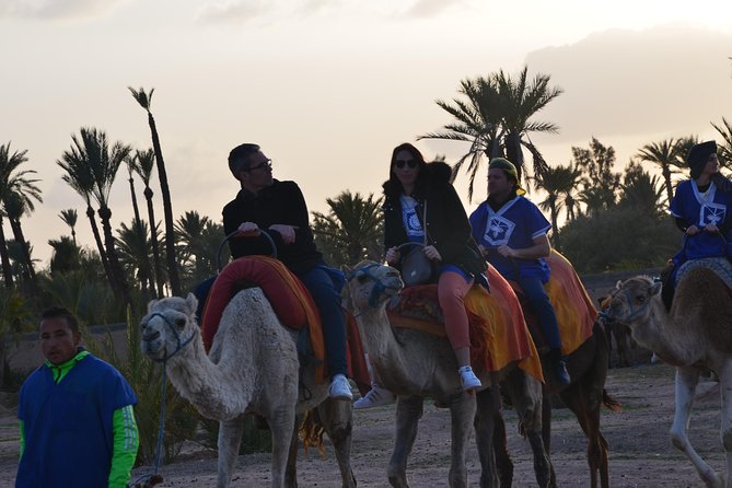 Camel Ride Experience Around Marrakech - Positive Traveler Reviews