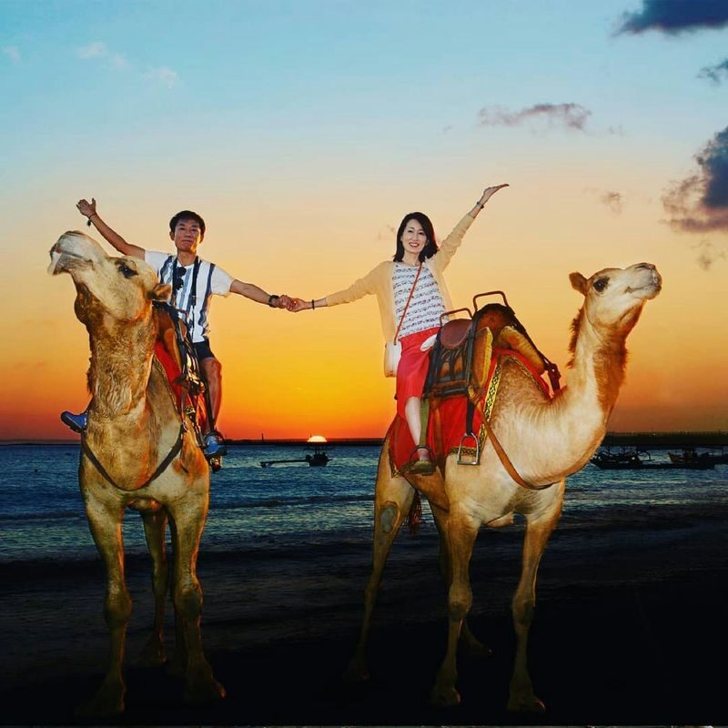 Camel Ride Experience in Bali - A camel ride with a Bali shoreline backdrop
