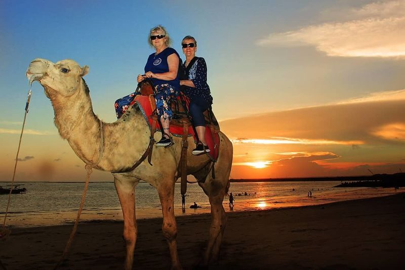 Camel Ride Experience in Bali - Who will enjoy this most