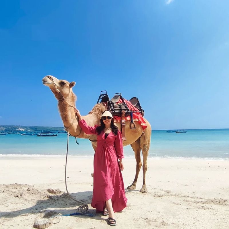 Camel Ride Experience in Bali - Should you book the Kelan Beach camel ride?