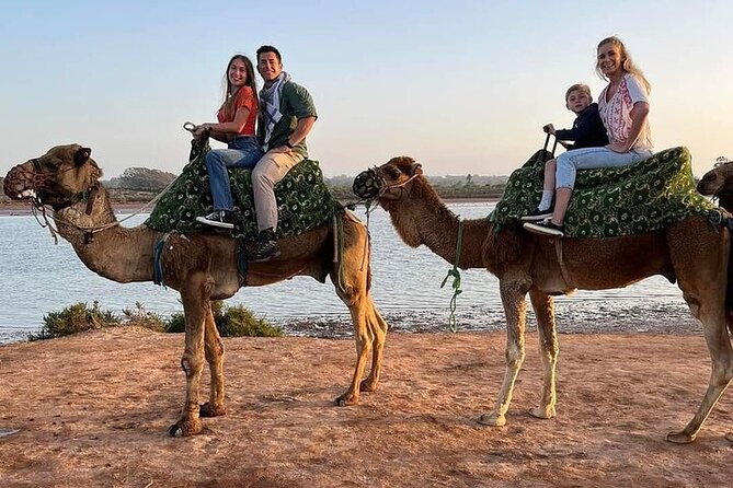Camel Ride in Agadir & Options at Sunset & Barbecue With Couscous - National Park Exploration