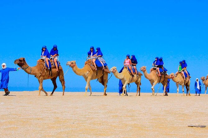 Camel Ride in Agadir With Hotel Pick up and Drop off - Group Size and Tour Capacity