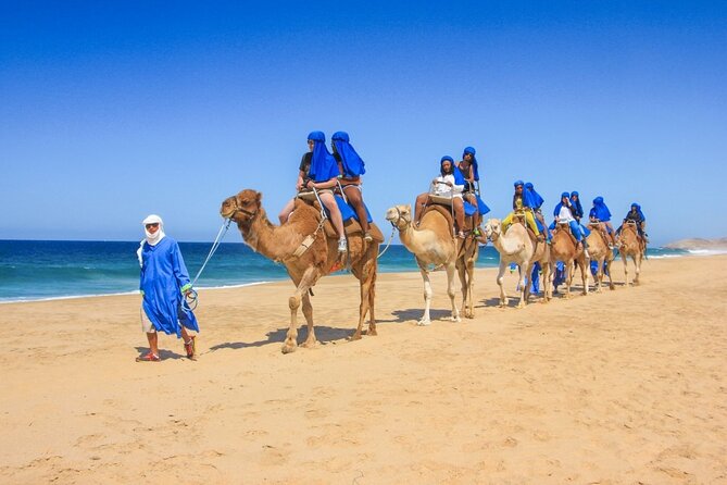 Camel Ride in Agadir With Hotel Pick up and Drop off - Operator Details