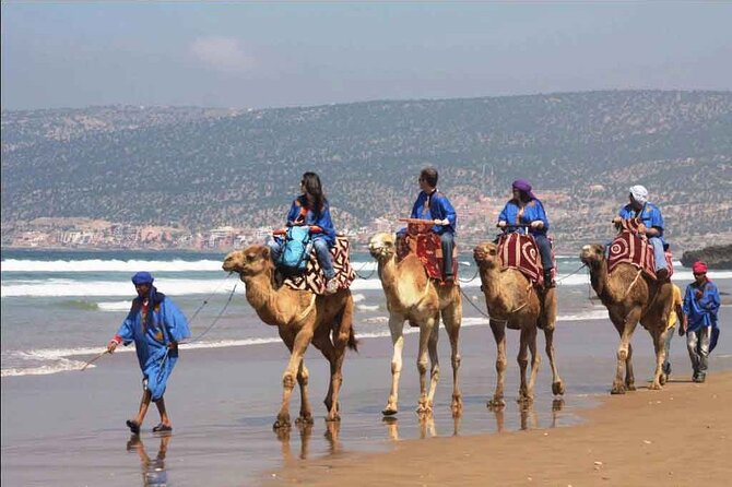 Camel Ride in Agadir With Hotel Pick up and Drop off - Cancellation Policy Overview