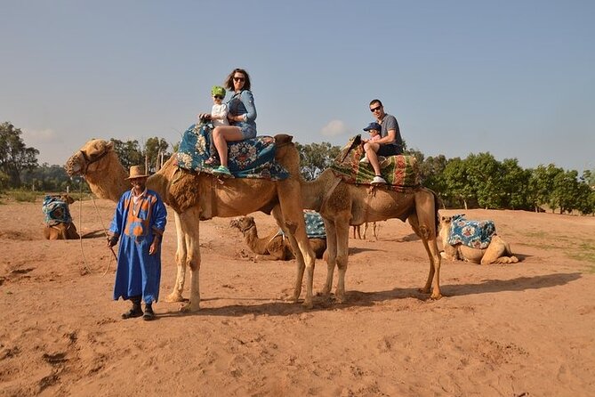 Camel Ride in Agadir With Hotel Pick up and Drop off - Customer Reviews and Ratings