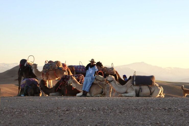 Camel Ride in Agafay Desert at Sunset - Booking Details for Camel Ride