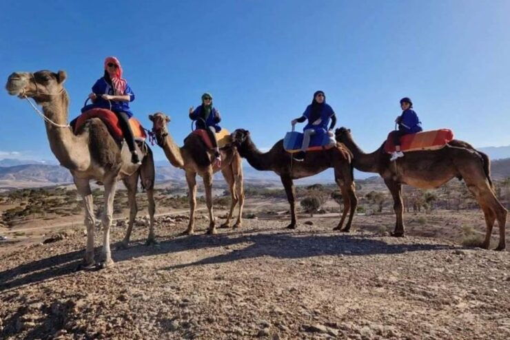 Camel Ride in Agafay Desert at Sunset - Experience Highlights in Agafay Desert