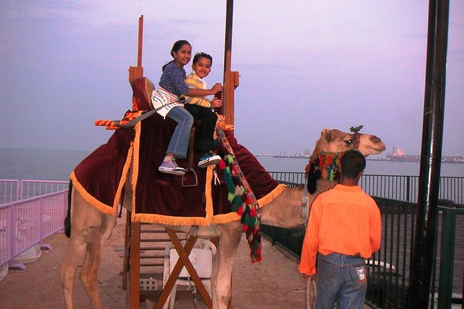 Camel Ride in Desert With Dune Bashing, BBQ Dinner and Belly Dance - Experience the Magic of Belly Dance