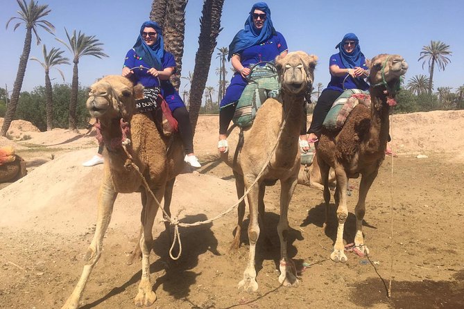 Camel Ride in Marrakech Desert Palmgrove - Highlights of the Camel Ride Experience