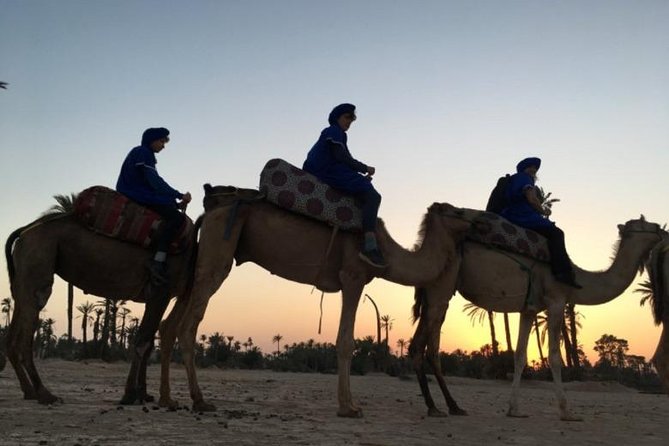 Camel Ride in Marrakech Desert Palmgrove - Cancellation Policy and Refund Information