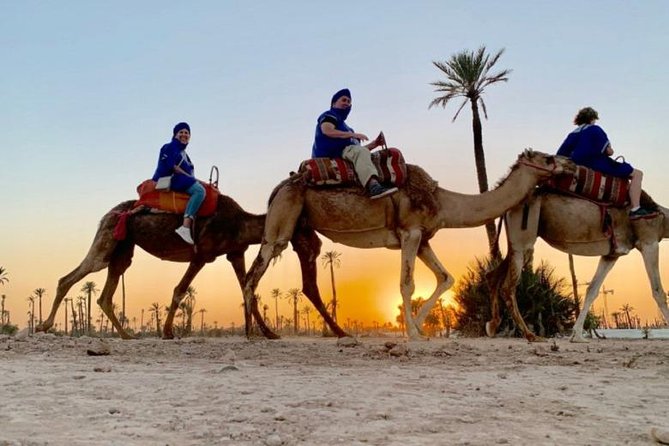 Camel Ride in Marrakech Desert Palmgrove - Additional Details and Terms & Conditions