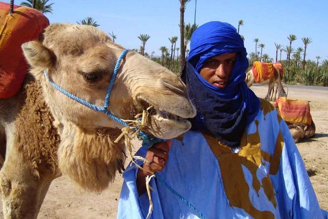 Camel Ride in Marrakech Palm Grove - Cancellation Policy