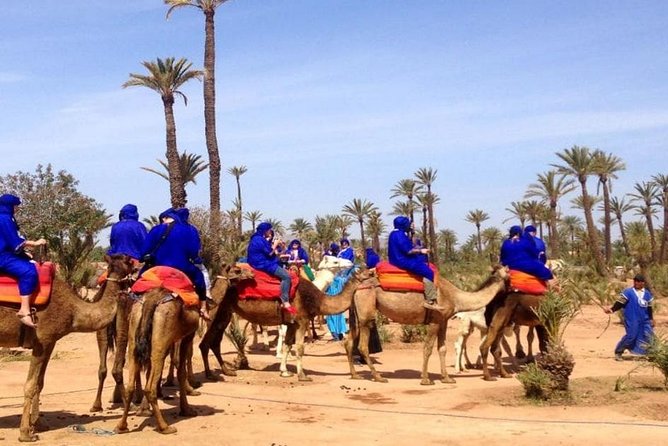 Camel Ride in Marrakech Palm Grove - Reviews and Ratings