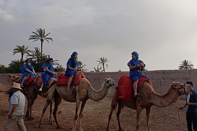 Camel Ride in Marrakech (Palmerie) - Cancellation Policy