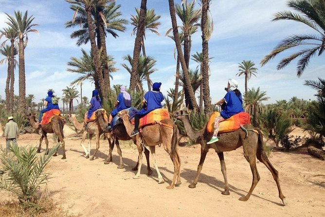 Camel Ride in Marrakech (Palmerie) - Availability and Booking