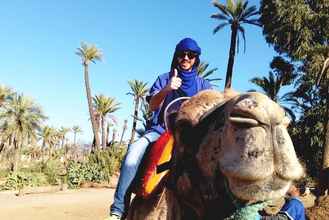 Camel Ride in Marrakech With Hotel-Pick up and Drop-Off Included - Hotel Pickup and Drop-Off