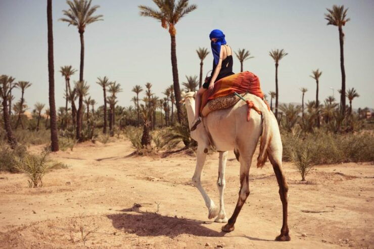 Camel Ride In Palmeraie 1 Hour, With Tea - Experience Highlights
